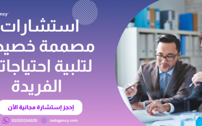 شركة استشارات مهنية فى مصر – خبراء يقدمون لك قيمة حقيقية بأسعار معقولة