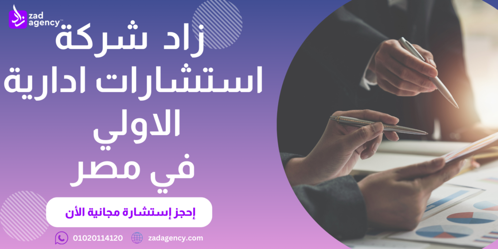 شركة استشارات ادارية في مصر